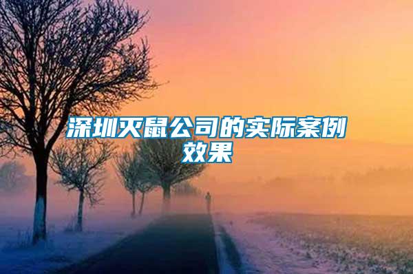 深圳滅鼠公司的實際案例效果