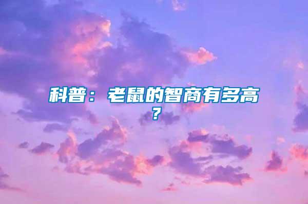 科普：老鼠的智商有多高？