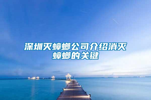 深圳滅蟑螂公司介紹消滅蟑螂的關鍵