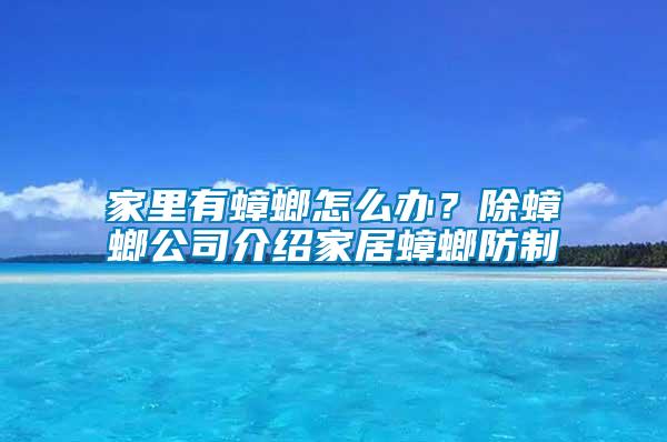 家里有蟑螂怎么辦？除蟑螂公司介紹家居蟑螂防制