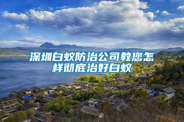 深圳白蟻防治公司教您怎樣徹底治好白蟻