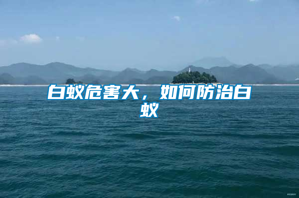 白蟻危害大，如何防治白蟻