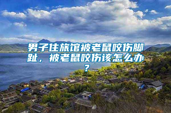 男子住旅館被老鼠咬傷腳趾，被老鼠咬傷該怎么辦？