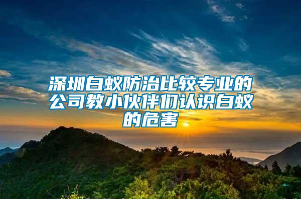 深圳白蟻防治比較專業的公司教小伙伴們認識白蟻的危害