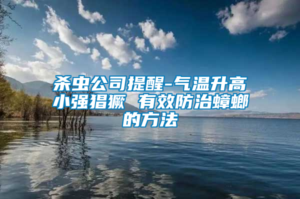 殺蟲公司提醒-氣溫升高小強猖獗 有效防治蟑螂的方法