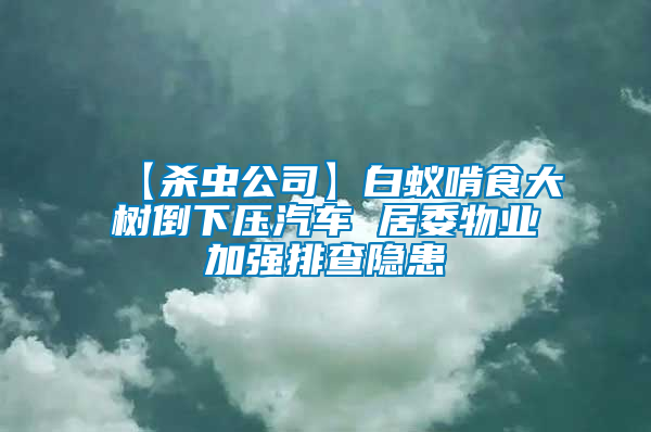 【殺蟲公司】白蟻啃食大樹倒下壓汽車 居委物業加強排查隱患