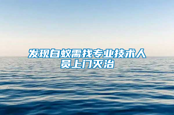 發現白蟻需找專業技術人員上門滅治