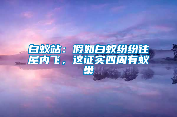 白蟻站：假如白蟻紛紛往屋內飛，這證實四周有蟻巢