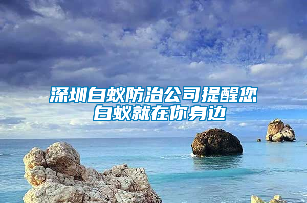 深圳白蟻防治公司提醒您 白蟻就在你身邊