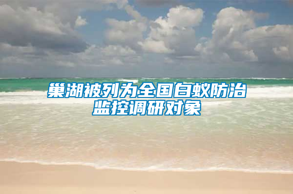 巢湖被列為全國白蟻防治監控調研對象