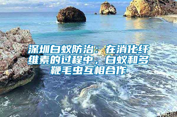 深圳白蟻防治：在消化纖維素的過程中，白蟻和多鞭毛蟲互相合作