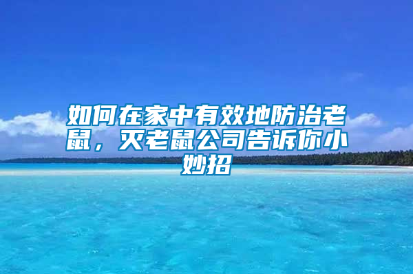 如何在家中有效地防治老鼠，滅老鼠公司告訴你小妙招