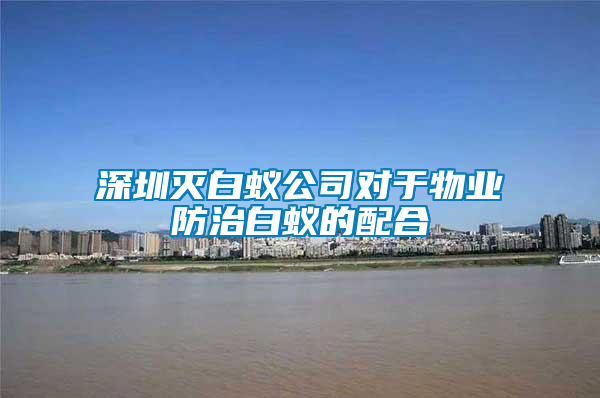 深圳滅白蟻公司對于物業防治白蟻的配合