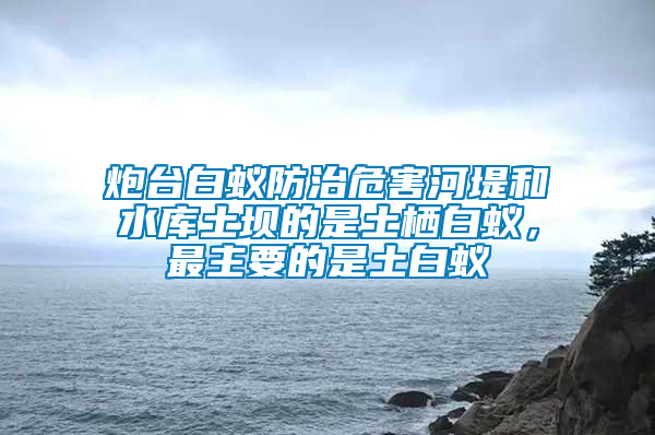 炮臺白蟻防治危害河堤和水庫土壩的是土棲白蟻，最主要的是土白蟻