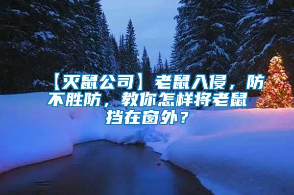 【滅鼠公司】老鼠入侵，防不勝防，教你怎樣將老鼠擋在窗外？