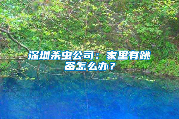 深圳殺蟲公司：家里有跳蚤怎么辦？