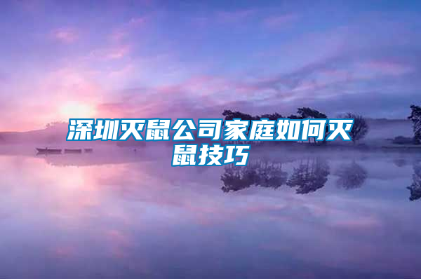 深圳滅鼠公司家庭如何滅鼠技巧