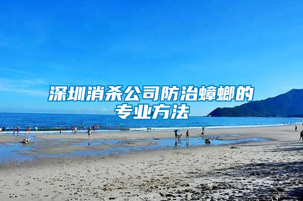 深圳消殺公司防治蟑螂的專業方法