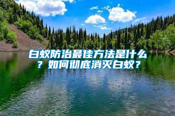 白蟻防治最佳方法是什么？如何徹底消滅白蟻？