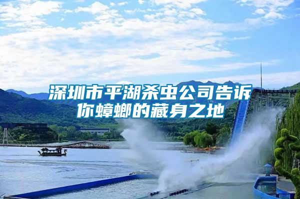 深圳市平湖殺蟲公司告訴你蟑螂的藏身之地