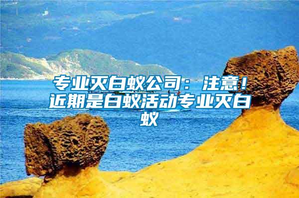 專業滅白蟻公司：注意！近期是白蟻活動專業滅白蟻