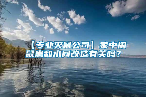 【專業滅鼠公司】家中鬧鼠患和水網改造有關嗎？