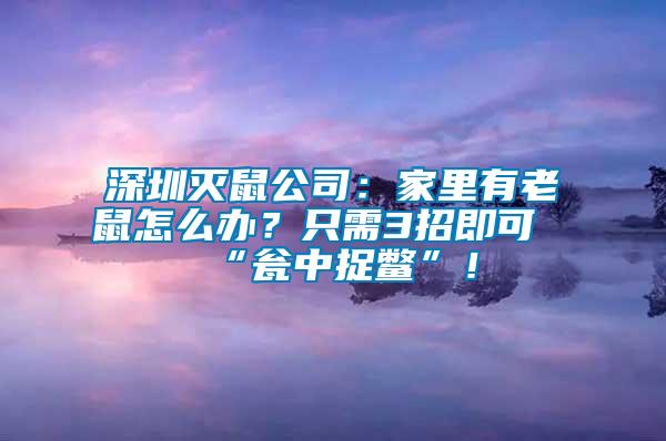 深圳滅鼠公司：家里有老鼠怎么辦？只需3招即可“甕中捉鱉”！