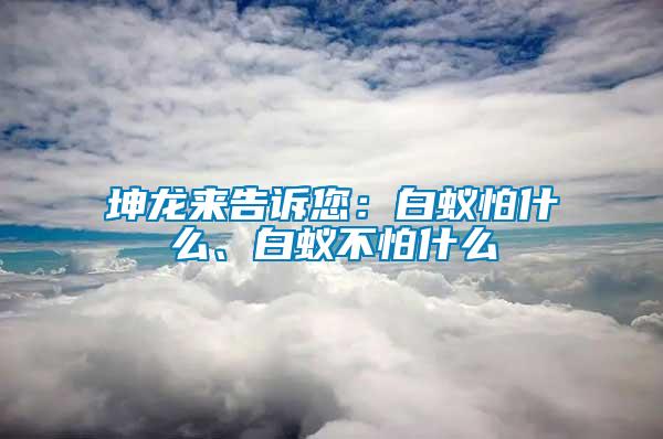 坤龍來告訴您：白蟻怕什么、白蟻不怕什么