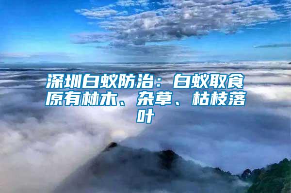 深圳白蟻防治：白蟻取食原有林木、雜草、枯枝落葉