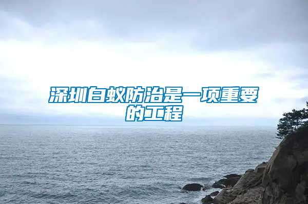 深圳白蟻防治是一項重要的工程