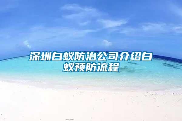 深圳白蟻防治公司介紹白蟻預防流程