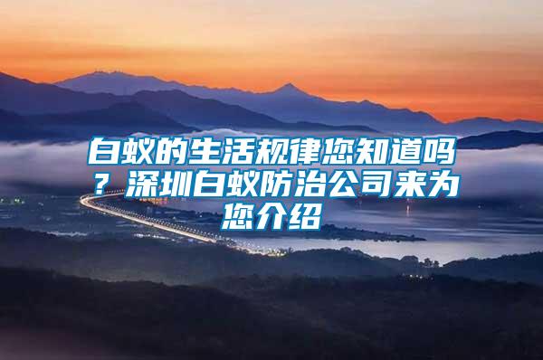 白蟻的生活規律您知道嗎？深圳白蟻防治公司來為您介紹