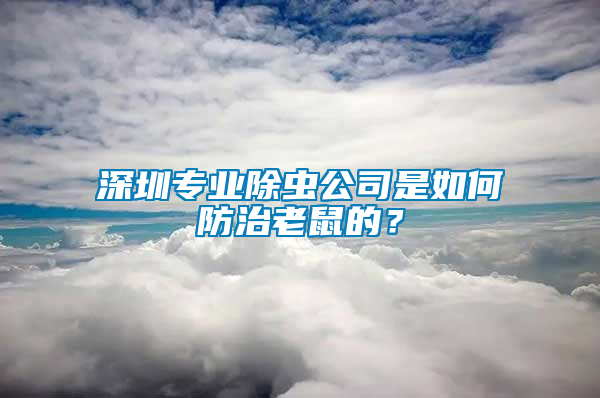 深圳專業除蟲公司是如何防治老鼠的？