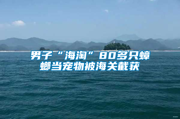 男子“海淘”80多只蟑螂當寵物被海關截獲