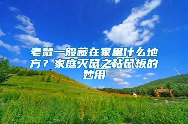 老鼠一般藏在家里什么地方？家庭滅鼠之粘鼠板的妙用