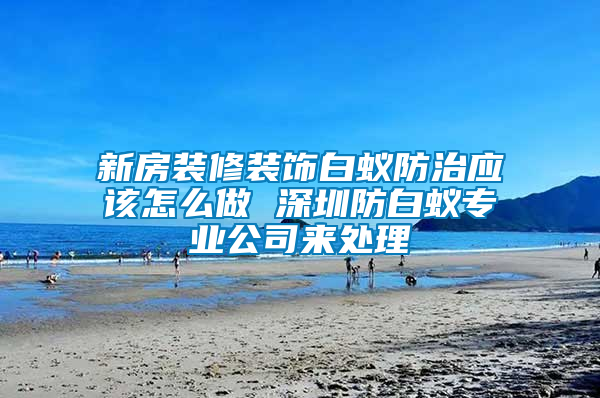 新房裝修裝飾白蟻防治應該怎么做 深圳防白蟻專業公司來處理