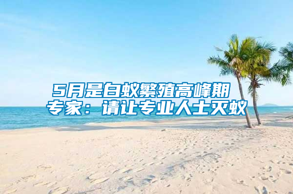 5月是白蟻繁殖高峰期 專家：請讓專業人士滅蟻