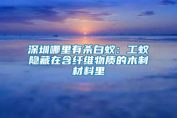 深圳哪里有殺白蟻：工蟻隱藏在含纖維物質的木制材料里