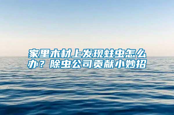 家里木材上發現蛀蟲怎么辦？除蟲公司貢獻小妙招