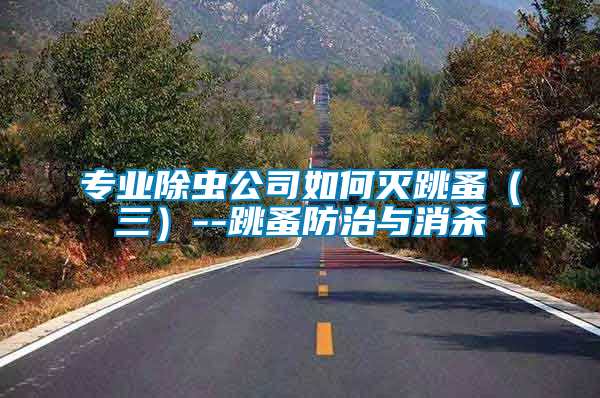 專業除蟲公司如何滅跳蚤（三）--跳蚤防治與消殺