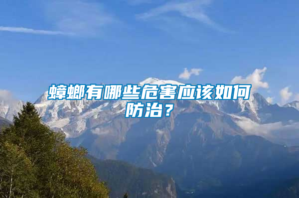 蟑螂有哪些危害應該如何防治？