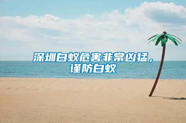 深圳白蟻危害非常兇猛，謹防白蟻