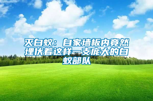 滅白蟻：自家墻板內竟然埋伏著這樣一支龐大的白蟻部隊