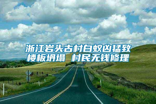 浙江巖頭古村白蟻兇猛致樓板坍塌 村民無錢修理