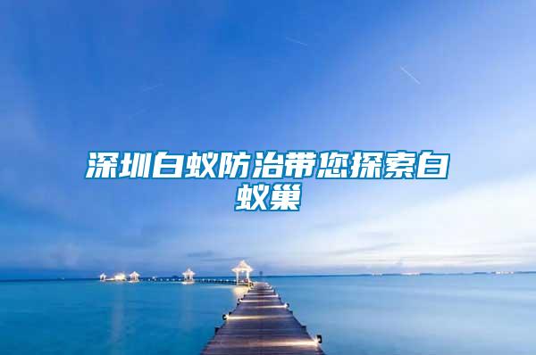 深圳白蟻防治帶您探索白蟻巢