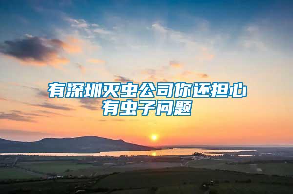 有深圳滅蟲公司你還擔心有蟲子問題