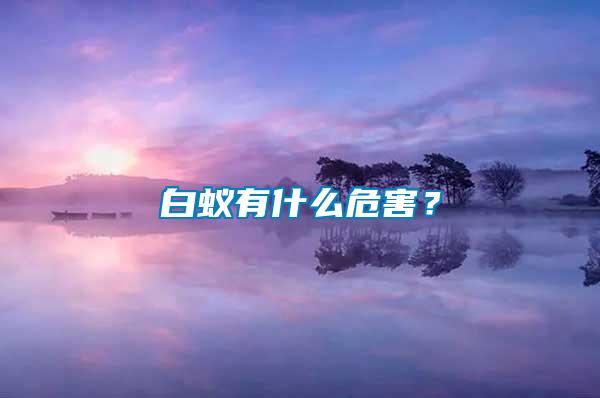 白蟻有什么危害？