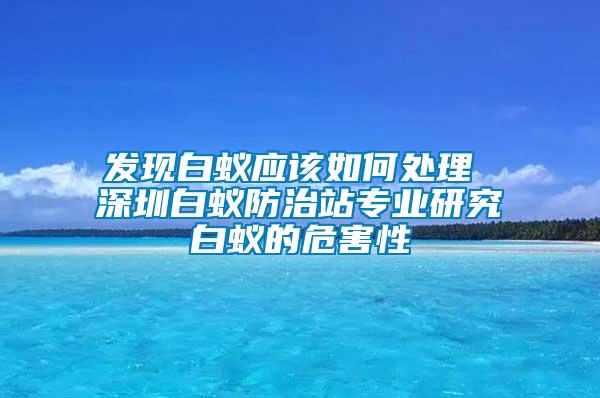 發現白蟻應該如何處理 深圳白蟻防治站專業研究白蟻的危害性