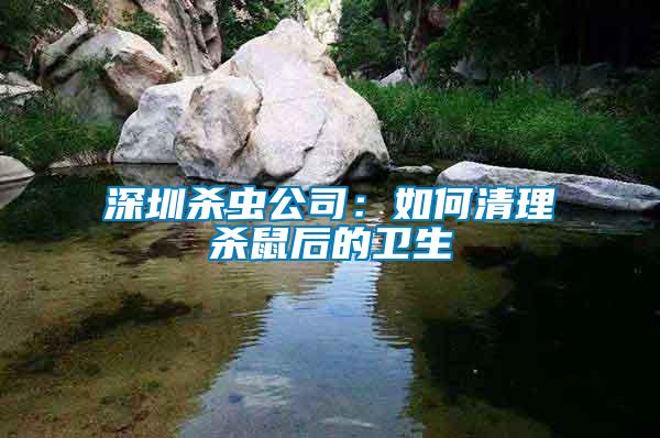 深圳殺蟲公司：如何清理殺鼠后的衛生