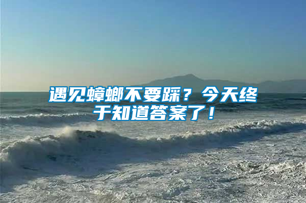 遇見蟑螂不要踩？今天終于知道答案了！